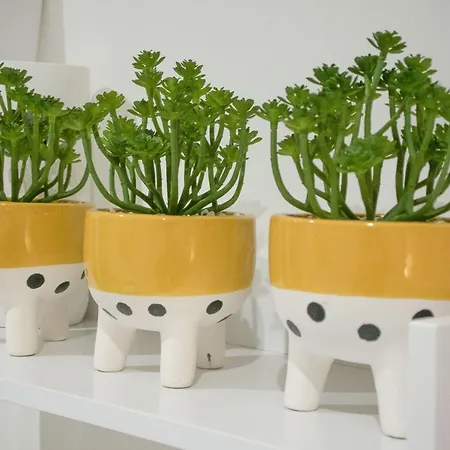 Woodland View Apartmán York