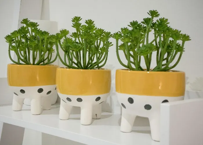 Woodland View Lägenhet York